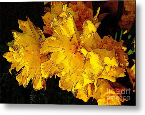 Abstract Metal Print featuring the photograph Yellow Daffodils 4 by Jean Bernard Roussilhe