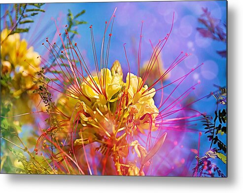 Yellow Metal Print featuring the photograph Yellow flowers by Tatiana Travelways