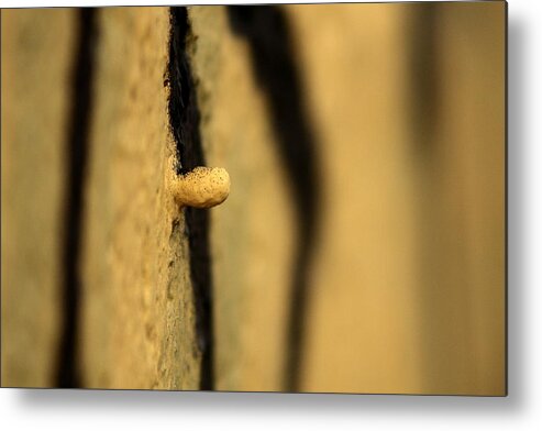 Nipple Metal Print featuring the photograph Yellow Nipple by Kreddible Trout