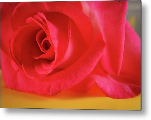 Rose Metal Print featuring the photograph Yellow Tea 02 by Bobby Villapando