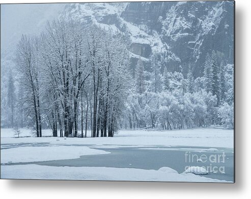 Landscapes Metal Print featuring the photograph Yosemite - A Winter Wonderland by Sandra Bronstein