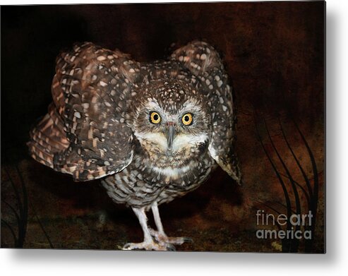 Bird Metal Print featuring the photograph You Scared Me by Elaine Manley