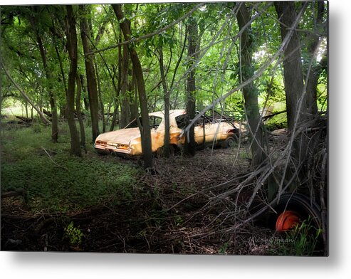 Abandoned Metal Print featuring the photograph Your automobile gonna fall apart by Micah Offman