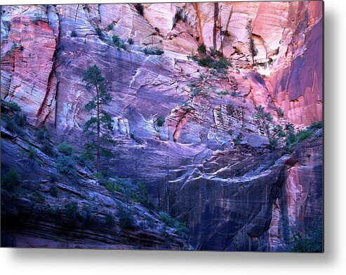 Canyon Lands Metal Print featuring the photograph Zion Canyon Wall by David Chasey