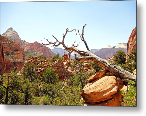 Zion Metal Print featuring the photograph Zion Hike 1 View 4 by Robert Meyers-Lussier