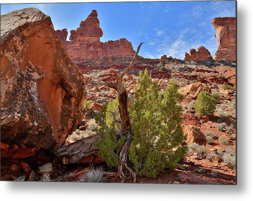 Valley Of The Gods Metal Print featuring the photograph Beautiful Valley of the Gods in Utah #1 by Ray Mathis