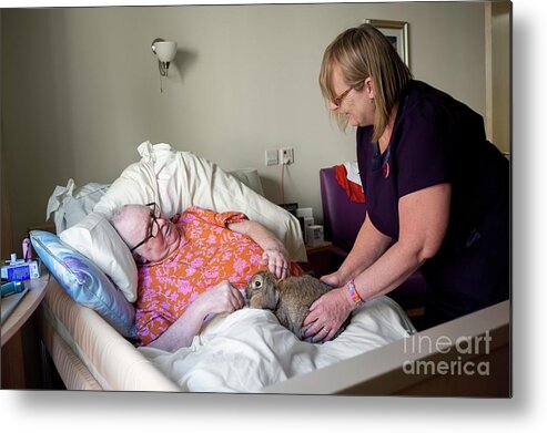 Bed Metal Print featuring the photograph Care Home Animal Therapy #1 by John Cole/science Photo Library