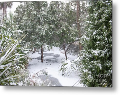 Snow Metal Print featuring the photograph Charleston Snow #1 by Dale Powell