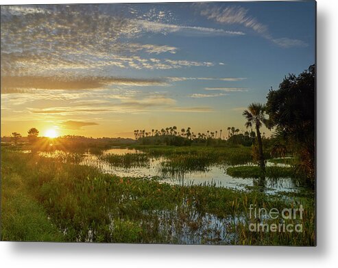 Usa Metal Print featuring the photograph Classic Florida Sunrise #1 by Brian Kamprath