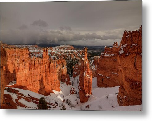 Color After The Storm Metal Print featuring the photograph Color After The Storm #1 by Bill Sherrell
