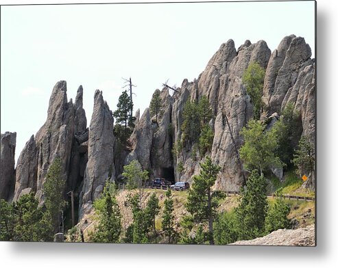 Custer State Park South Dakota Metal Print featuring the photograph Custer State Park South Dakota #1 by Susan Jensen