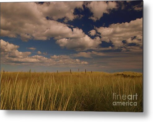 Dunes Metal Print featuring the photograph Dunes by Lennie Malvone