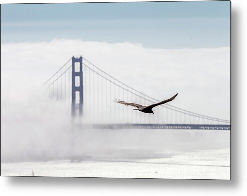 Water's Edge Metal Print featuring the photograph Golden Gate Bridge With Low Fog, San #1 by Spondylolithesis