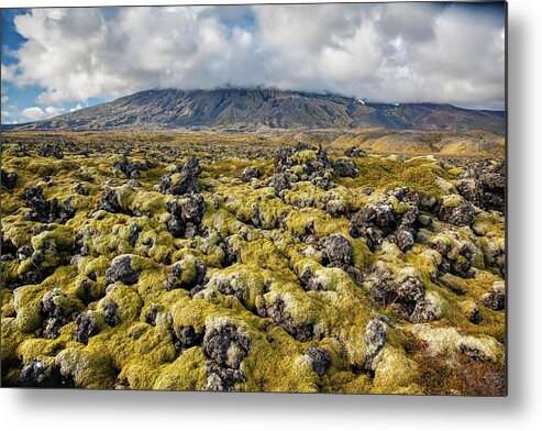 Iceland Metal Print featuring the photograph Lava Field of Iceland by David Letts