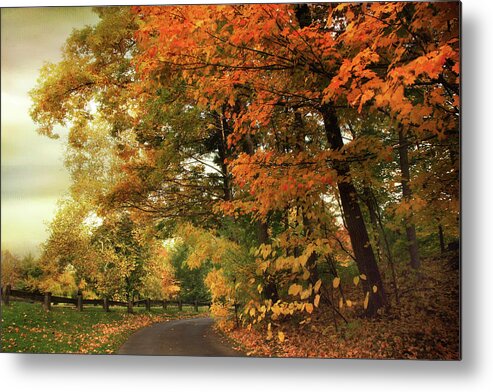 Autumn Metal Print featuring the photograph Leaf Peeping #2 by Jessica Jenney
