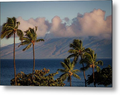 Hawaii Metal Print featuring the photograph Maui Palms #2 by Jeff Phillippi