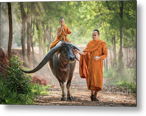 Tranquility Metal Print featuring the photograph Monks And Buffalo #1 by Wichan Sumalee