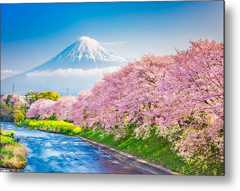 Mt. Fuji, Japan Spring Landscape #1 Metal Print by Sean Pavone