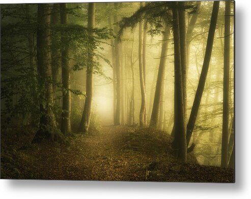 Exterior Metal Print featuring the photograph Mysterious Spring Morning #1 by Norbert Maier