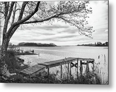 Coast Metal Print featuring the photograph Salt marsh in spring #2 by Marianne Campolongo