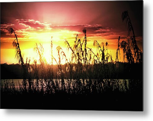 Sunlight Metal Print featuring the photograph Bright sunset on the lake by Tatiana Travelways