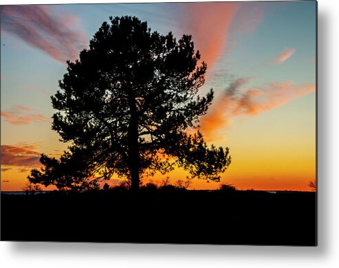 Tree Metal Print featuring the photograph Sunset Silhouette by Cathy Kovarik