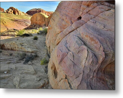 Valley Of Fire State Park Metal Print featuring the photograph The Many Colors of Valley of Fire State Park #1 by Ray Mathis