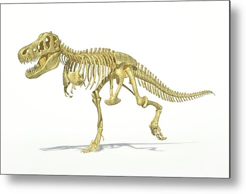 Prehistoric Era Metal Print featuring the digital art Tyrannosaurus Rex Skeleton, Artwork #1 by Leonello Calvetti