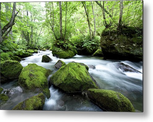 Scenics Metal Print featuring the photograph Woodland Stream #1 by Ooyoo