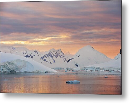 Tranquility Metal Print featuring the photograph Antarctic Peninsula, Antarctica #14 by Enrique R. Aguirre Aves