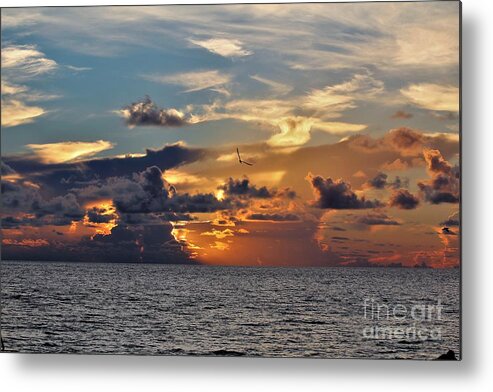 Naples Florida Metal Print featuring the photograph Naples Beach #19 by Donn Ingemie