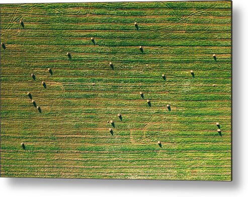 Landscapeaerial Metal Print featuring the photograph Aerial View Of Summer Field Landscape #2 by Ryhor Bruyeu