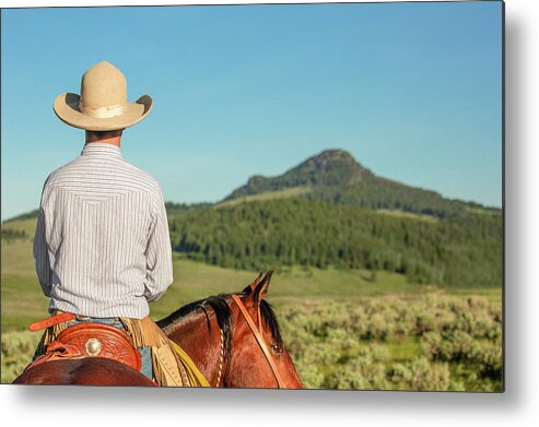 White Sulphur Springs Metal Print featuring the photograph Cowboy Back #2 by Todd Klassy
