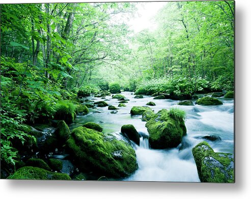 Scenics Metal Print featuring the photograph Mountain Stream by Ooyoo