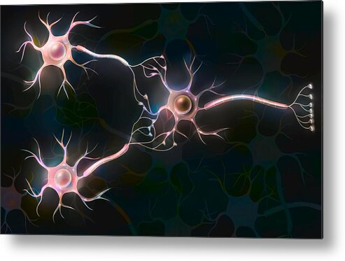 Action Potential Metal Print featuring the photograph Nerve Impulse Drawing #2 by Bsip