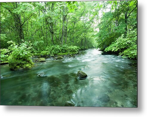 Scenics Metal Print featuring the photograph Woodland Stream #2 by Ooyoo