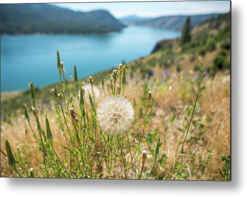 River Metal Print featuring the photograph Columbia River Scenes On A Beautiful Sunny Day #3 by Alex Grichenko