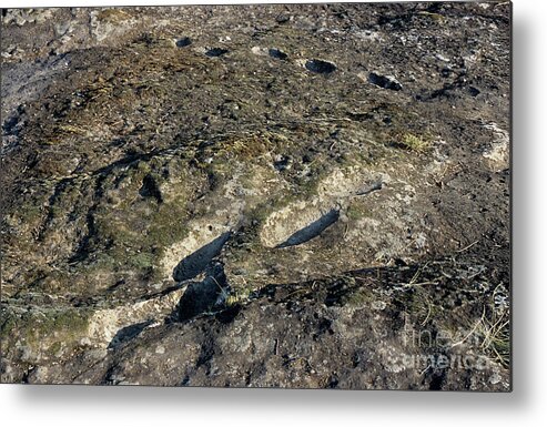 Hominid Metal Print featuring the photograph Early Human Footprints #3 by Pasquale Sorrentino/science Photo Library