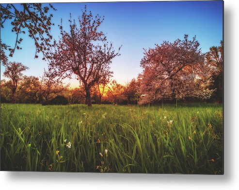 Sunset Metal Print featuring the photograph Sunset #5 by Marc Braner