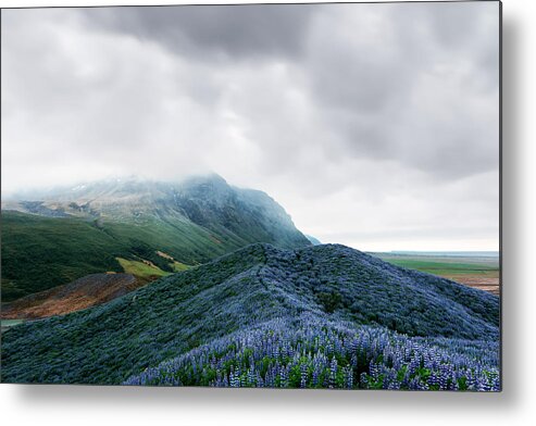 Landscape Metal Print featuring the photograph Typical Iceland Landscape With Mountains #4 by Ivan Kmit