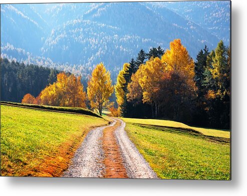 Landscape Metal Print featuring the photograph Incredible Autumn View At Italian #5 by Ivan Kmit