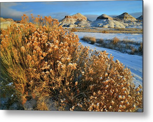 Ruby Mountain Metal Print featuring the photograph Morning at Ruby Mountain #5 by Ray Mathis