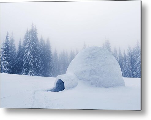 Landscape Metal Print featuring the photograph Real Snow Igloo House In The Winter #5 by Ivan Kmit
