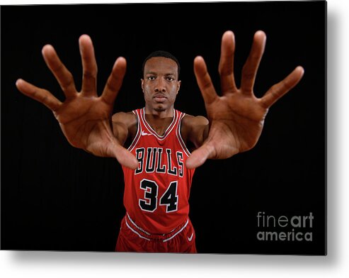 Wendell Carter Jr Metal Print featuring the photograph 2018 Nba Rookie Photo Shoot #50 by Brian Babineau