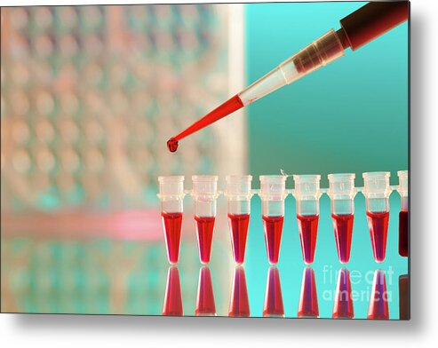 Research Metal Print featuring the photograph Biological Research #54 by Wladimir Bulgar/science Photo Library