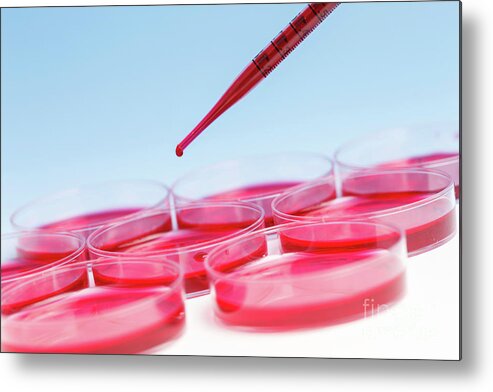 Research Metal Print featuring the photograph Biological Research #60 by Wladimir Bulgar/science Photo Library
