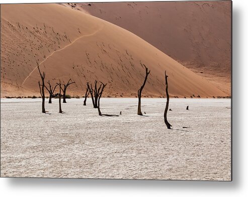 Artistic Metal Print featuring the photograph Deadvlei #8 by Mache Del Campo