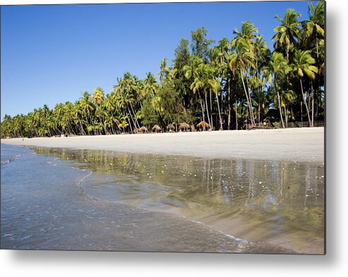 Tropical Tree Metal Print featuring the photograph A Beautiful Tropical Beach With Palm by Mihau