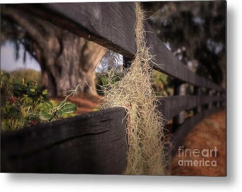 The Villages Metal Print featuring the photograph A Different Perspective by Mary Lou Chmura