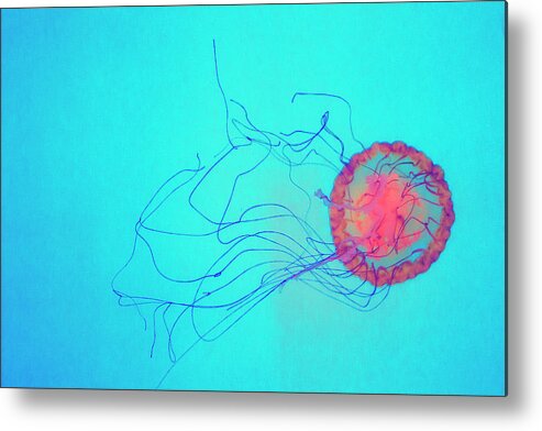 Underwater Metal Print featuring the photograph A Jelly Fish Swimming by Images By Debbie Wibowo